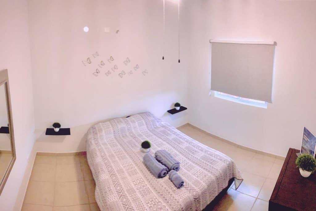 Luna Pacific Los Cabos - Condo Near Beach 카보산루카스 외부 사진