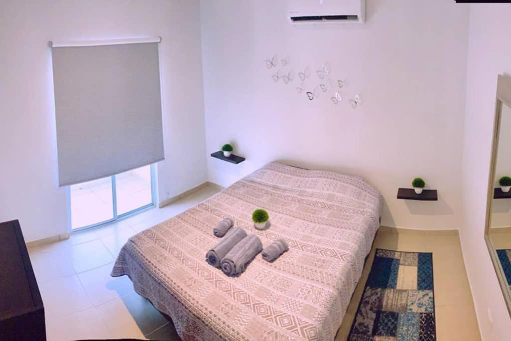 Luna Pacific Los Cabos - Condo Near Beach 카보산루카스 외부 사진