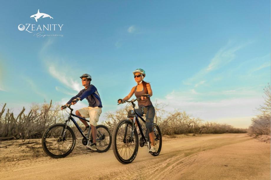 Luna Pacific Los Cabos - Condo Near Beach 카보산루카스 외부 사진